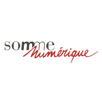 Logo SYNDICAT MIXTE SOMME NUMERIQUE